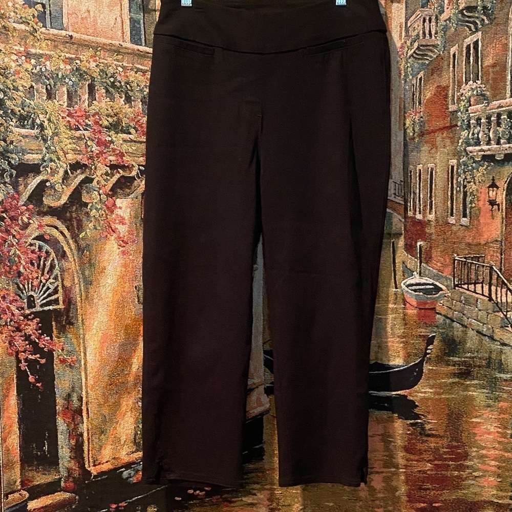 Dillard’s Brand Westbound Black Cropped Pants